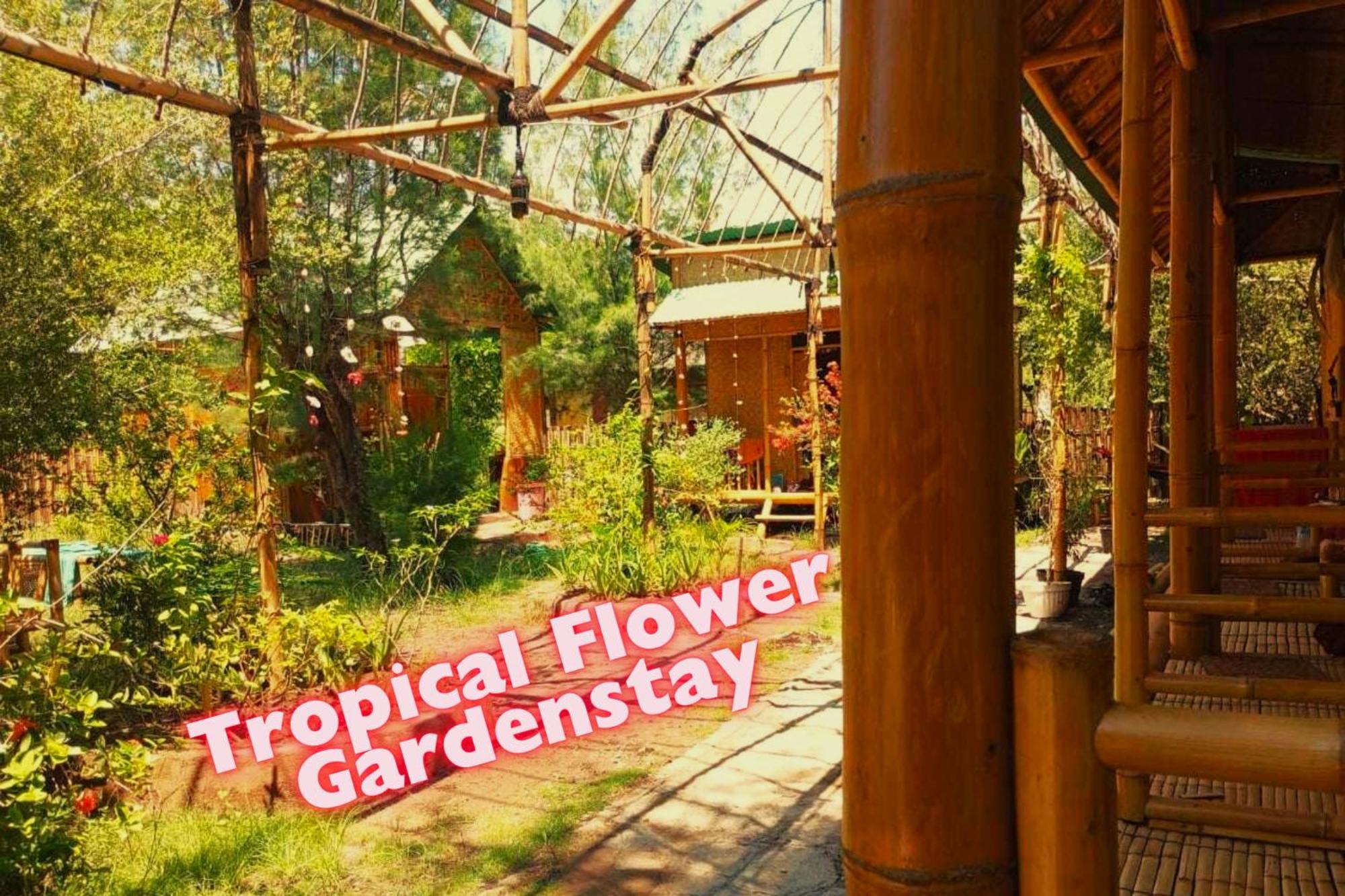 Uncle Hippie'S Dream Hostel Gili Meno Exterior photo