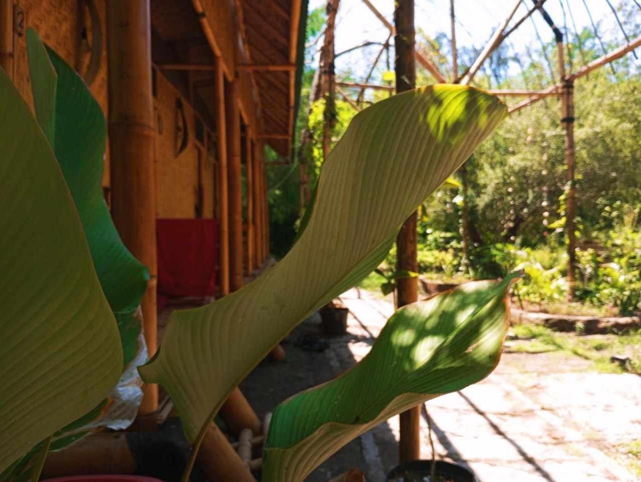 Uncle Hippie'S Dream Hostel Gili Meno Exterior photo